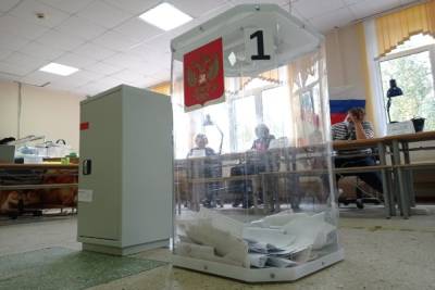 Четверть избирателей Тверской области пришла на выборы во второй день голосования
