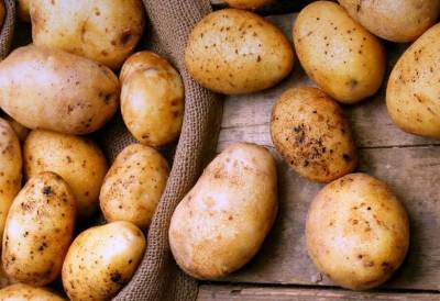 Беларусь впервые в истории начала импортировать картофель