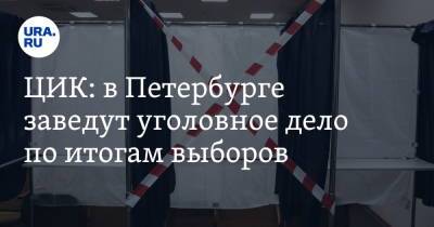 ЦИК: в Петербурге заведут уголовное дело по итогам выборов