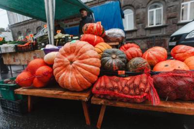 Сельскохозяйственная ярмарка «Осень 2021» пройдет в Пскове 2 октября