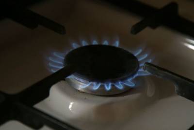 Россию призвали обеспечить доступные цены на газ