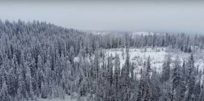 Зима заглянула в гости: в Украине среди сентября выпал первый снег, завораживающее фото
