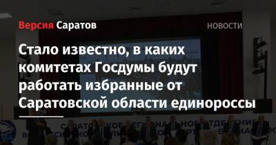 Стало известно, в каких комитетах Госдумы будут работать избранные от Саратовской области единороссы