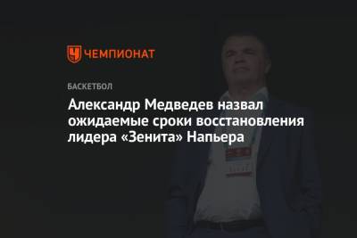 Александр Медведев назвал ожидаемые сроки восстановления лидера «Зенита» Напьера