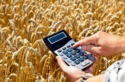 В 2022 году расходы на сельское хозяйство в России превысят 285 млрд рублей
