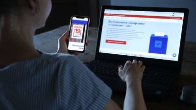 Эксперты оценили систему дистанционного электронного голосования в Москве