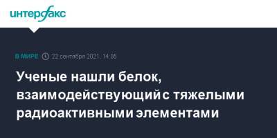 Ученые нашли белок, взаимодействующий с тяжелыми радиоактивными элементами