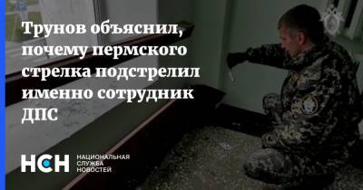 Игорь Трунов - Трунов объяснил, почему пермского стрелка подстрелил именно сотрудник ДПС - nsn.fm - Россия - Пермь