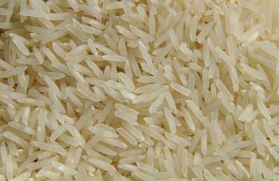 На Херсонщине началась рисовая жатва