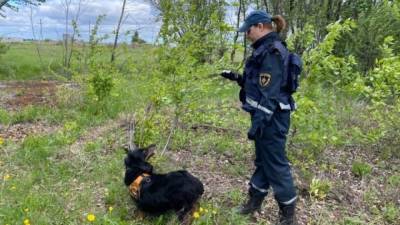 Полиция Красноярска ведет поиски двух пропавших накануне школьниц