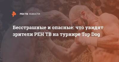 Бесстрашные и опасные: что увидят зрители на турнире Top Dog