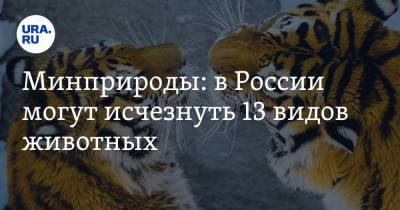 Минприроды: в России могут исчезнуть 13 видов животных