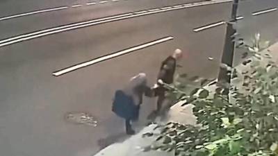 Пенсионерка отбилась от грабителя, пытавшегося отобрать у нее сумку в центре Москвы