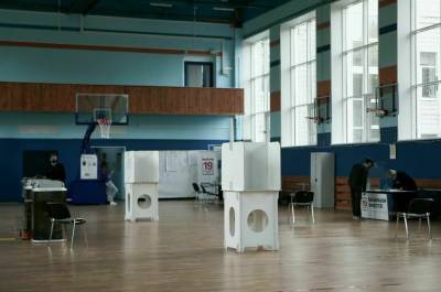 ПАСЕ: голосование на выборах в России прошло спокойно