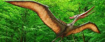 В Чили найдены останки крылатого ящера, жившего примерно 160 млн лет назад