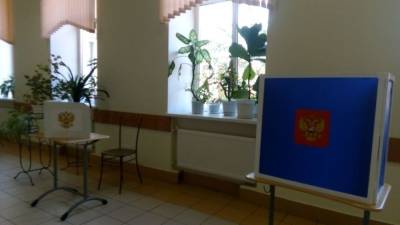 Политолог Соловейчик объяснил высокую явку на выборах в Тульской области