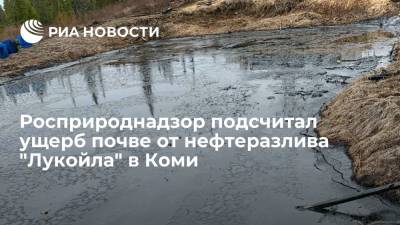 Росприроднадзор: ущерб почве от нефтеразлива в Коми составил 130 миллионов рублей