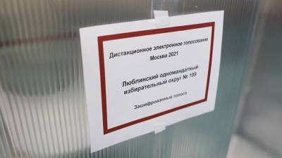 Костырко заявил, что любой желающий сможет проверить результаты ДЭГ в Москве