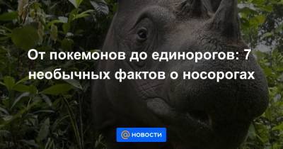 От покемонов до единорогов: 7 необычных фактов о носорогах