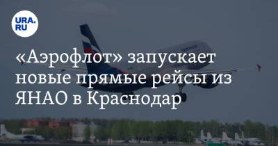 «Аэрофлот» запускает новые прямые рейсы из ЯНАО в Краснодар