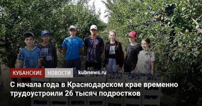 С начала года в Краснодарском крае временно трудоустроили 26 тысяч подростков