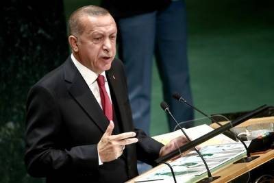В Госдуме назвали заигрыванием с Украиной заявление Эрдогана об «аннексии Крыма»