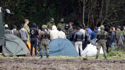 Агентства ООН призвали обеспечить доступ к просителям убежища на границе с Беларусью