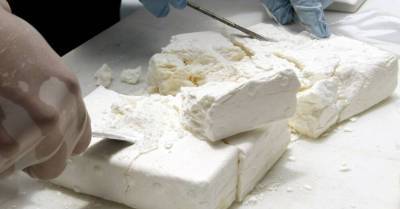 В трейлере из Латвии в Эстонию ввезли 5 кг кокаина