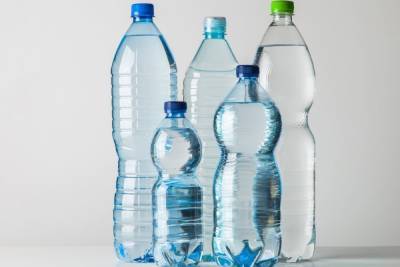 Комитет по природопользованию Петербурга принес на эко-завтрак пластиковые бутылки