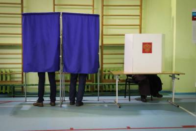 На выборах в Заксобрание Петербурга проголосовал каждый пятый избиратель