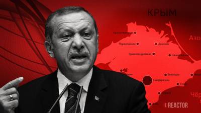 Политолог Бредихин посоветовал президенту Турции воздержаться от высказываний по Крыму