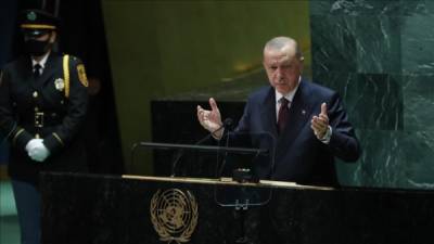 В Крыму ответили Эрдогану: «Наступаете на одни и те же грабли»