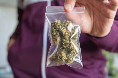 В Таганроге мужчина пытался продать полкилограмма марихуаны