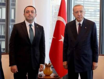 Гарибашвили — Эрдогану։ Грузия готова к миротворчеству ради мира на Кавказе