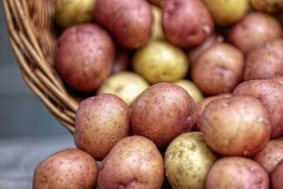 Россиян предупредили о дефиците и росте цен на картофель и чипсы