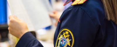 В Новосибирске следователи проверяют информацию о двух инцидентах, освещенных в СМИ