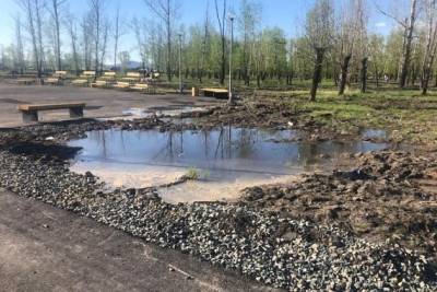 Подрядчик сорвал срок исправлений в разрушающемся после ремонта парке Угольщиков в Чите