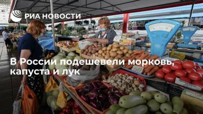 Росстат: морковь в России за неделю подешевела на 3,03%, капуста и лук — на 0,63%