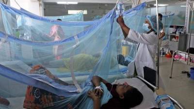 Число жертв лихорадки денге на севере Индии увеличилось до 120