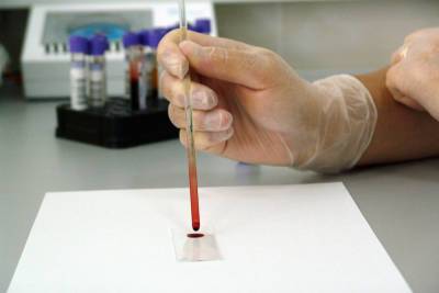На базе Белгородского госуниверситета создадут НИИ генетических технологий с клиникой генной терапии – Учительская газета