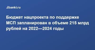 Бюджет нацпроекта по поддержке МСП запланирован в объеме 215 млрд рублей на 2022—2024 годы