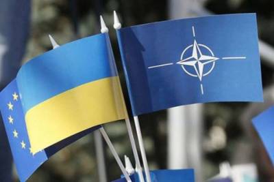 В украинской армии сообщили, сколько стандартов НАТО внедрили
