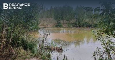 Экологи изучат пробы воды из озера в Салмачах, которое окрасилось в красный цвет