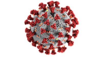 Из-за мутаций коронавирус лучше передается по воздуху и мира