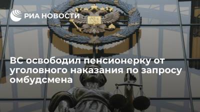 ВС удовлетворил запрос Москальковой об освобождении пенсионерки от уголовного наказания