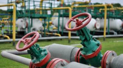 В ФРГ прокомментировали версию о причастности России к росту цен на газ