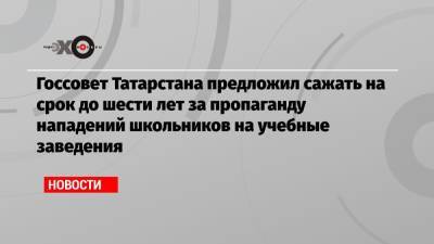 Госсовет Татарстана предложил сажать на срок до шести лет за пропаганду нападений школьников на учебные заведения