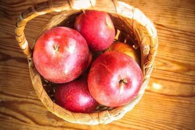 Можно ли закапывать гнилые яблоки в грядки: о чем не знают огородники