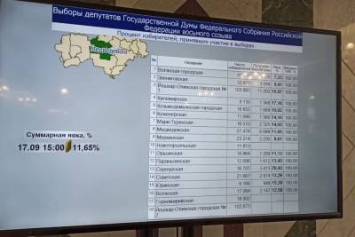 К 15:00 в Марий Эл проголосовали 11% избирателей
