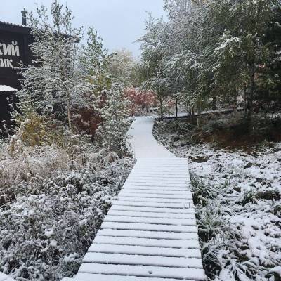 В Свердловской области выпал первый снег. Синоптики обещают заморозки